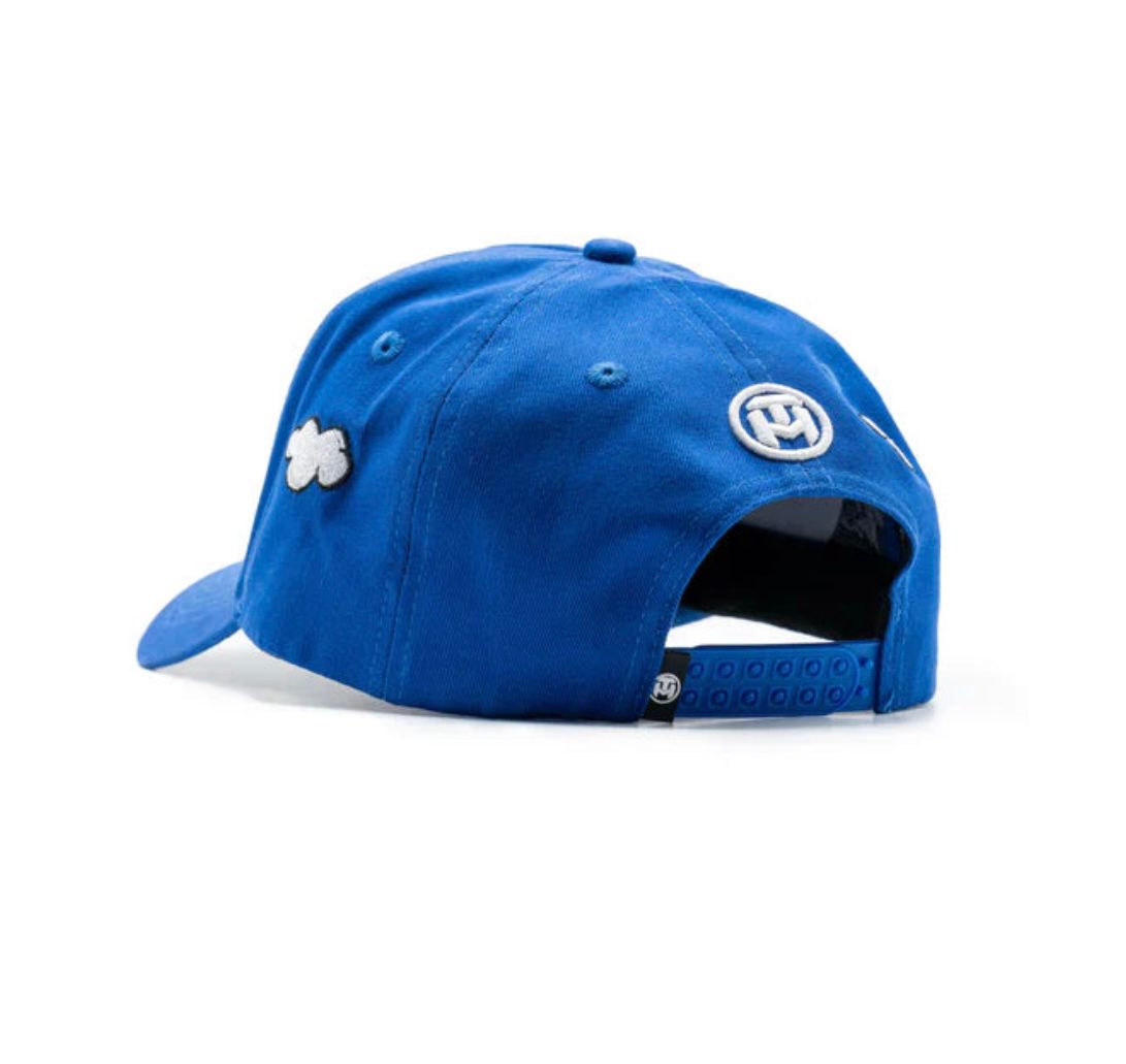 31 Hats LA Money Clouds